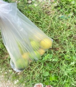 image_Basic Healthcare Service