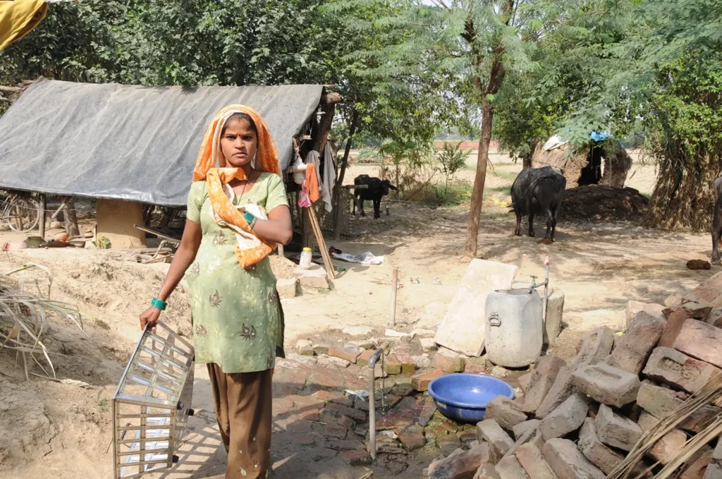 image_Basic Healthcare Service