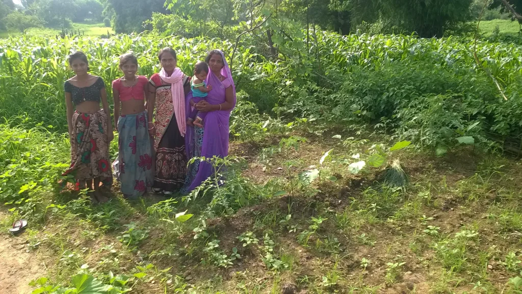 image_Basic Healthcare Service