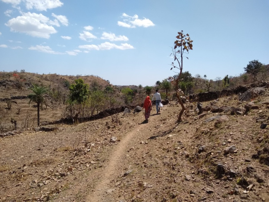 image_Basic Healthcare Service