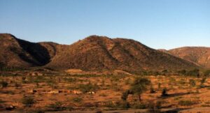 image_Basic Healthcare Service