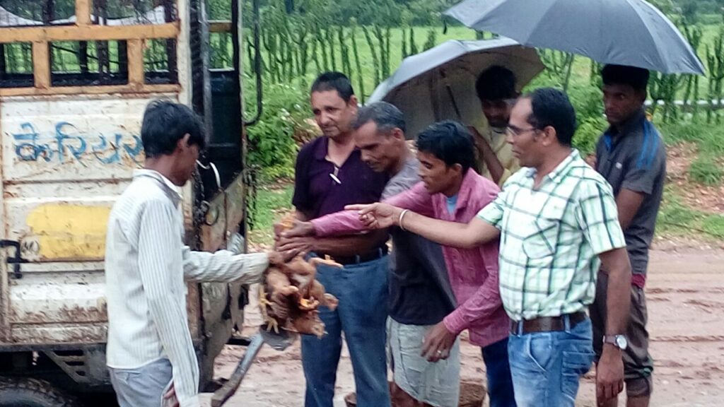 image_Basic Healthcare Service