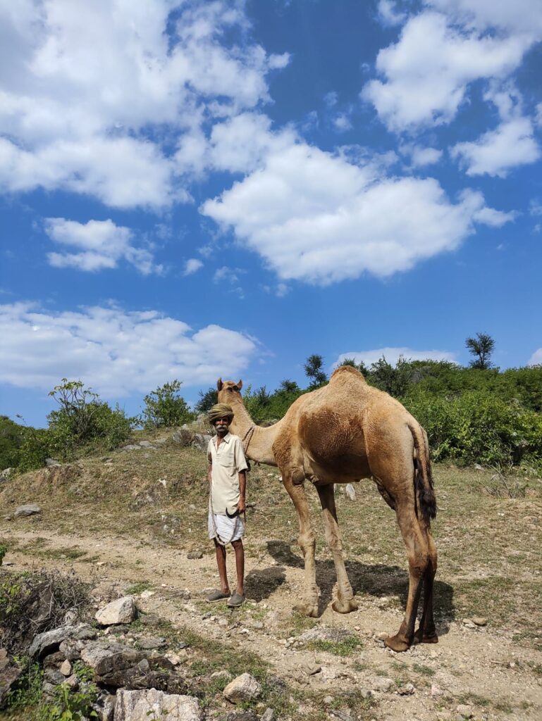 image_Basic Healthcare Service