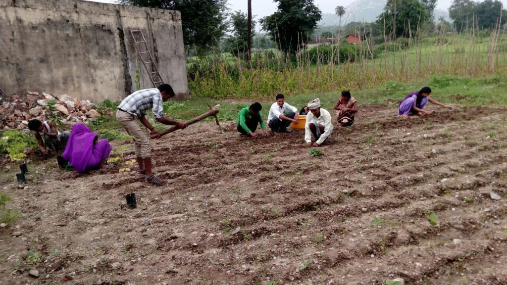 image_Basic Healthcare Service