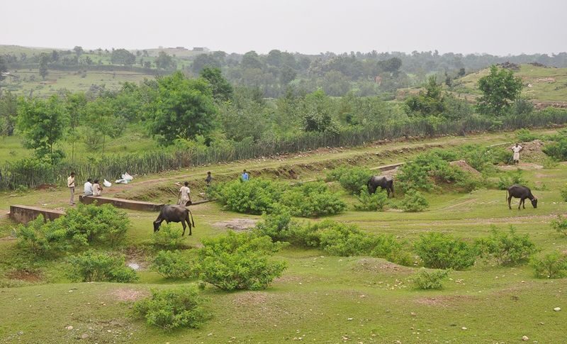 image_Basic Healthcare Service