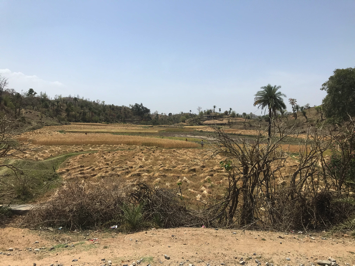 image_Basic Healthcare Service