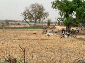 image_Basic Healthcare Service